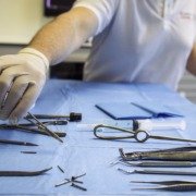 Un dentiste portant des gants en latex prépare des instruments chirurgicaux disposés sur une table couverte d'un drap bleu.